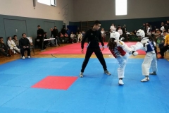 2017_12_17_TSV_Dudenhofen_7