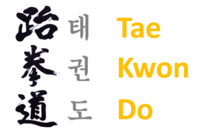 TaeKwonDo