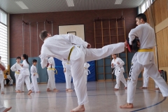 BSCD_2017_02_11_P002