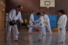 BSCD_2017_02_11_P004