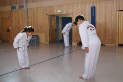 BSCD_2017_02_11_P013