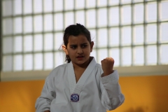 BSCD_2017_02_11_P015