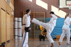 BSCD_2017_02_11_P026