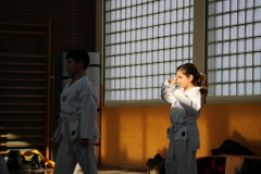 BSCD_2017_02_11_P027