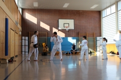 BSCD_2017_02_11_P028