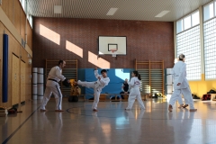 BSCD_2017_02_11_P029