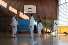 BSCD_2017_02_11_P031