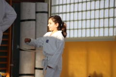 BSCD_2017_02_11_P035