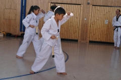 BSCD_2017_02_11_P038