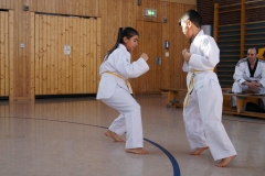 BSCD_2017_02_11_P040