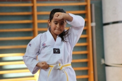 BSCD_2017_02_11_P041