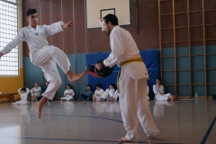 BSCD_2017_02_11_P050