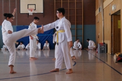 BSCD_2017_02_11_P051