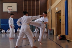 BSCD_2017_02_11_P052