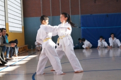 BSCD_2017_02_11_P053