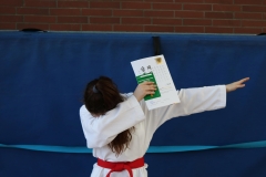 BSCD_2017_02_11_P083