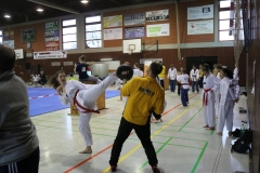 Hessenmeisterschaft2017_019