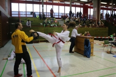 Hessenmeisterschaft2017_030