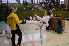 Hessenmeisterschaft2017_032