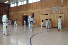 t_2016_05_12_taekwondo_Dietzenbach0001