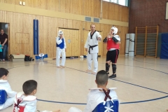 t_2016_05_12_taekwondo_Dietzenbach0005