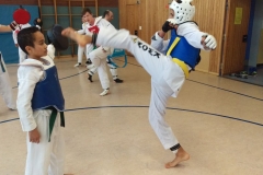 t_2016_05_12_taekwondo_Dietzenbach0008