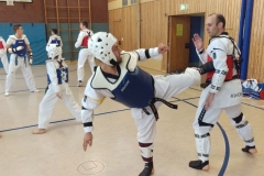 t_2016_05_12_taekwondo_Dietzenbach0010