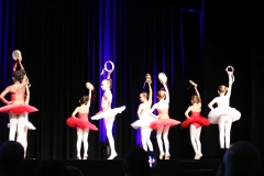 BSCD_2017_05_19_Sportehrung_13