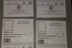 BSCD_2017_05_13_IntHP_003