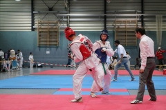 BSCD_2017_05_13_IntHP_008_19