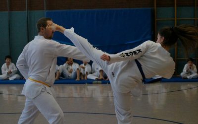 Gürtelprüfungen im Februar 2017